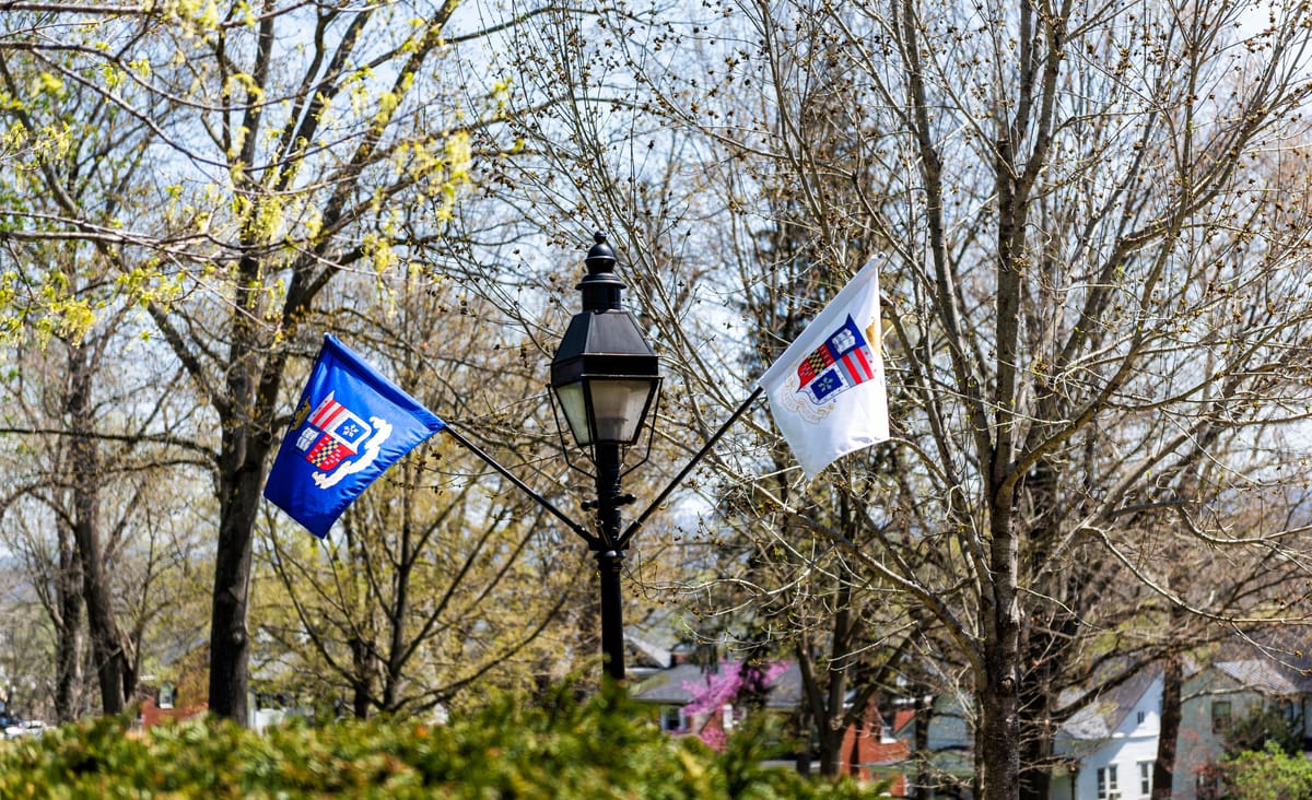 Flags on a lampost